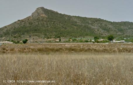  Terreno en Aspe - ALICANTE 