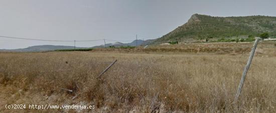 Terreno en Aspe - ALICANTE