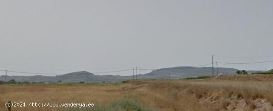 Terreno en Aspe - ALICANTE