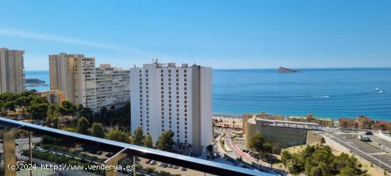  ¡Vive en el Cielo de Benidorm en Residencial Skyline - Tu Hogar entre el Cielo y el Mar! - ALICANTE 