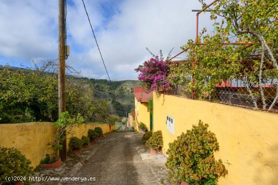 Amplia casa de campo con 3 apartamentos independientes y terreno, - LAS PALMAS