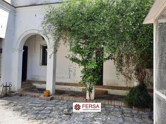 CASA INDEPENDIENTE EN EL CASCO HISTORICO - CADIZ