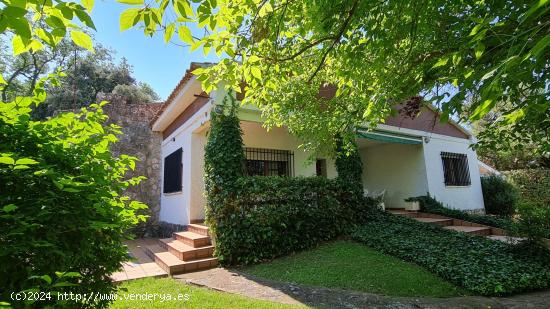 Chalet céntrico con impresionante jardín - MADRID