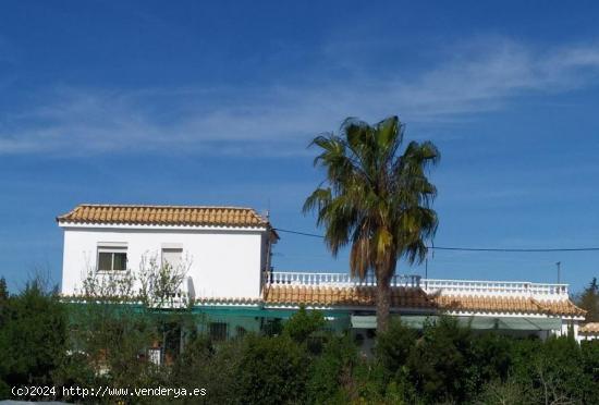 ESTUPENDA FINCA EN BONANZA - CADIZ