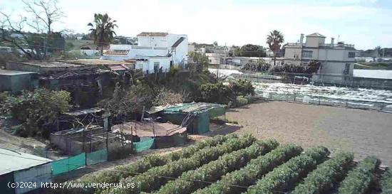 ESTUPENDA FINCA EN BONANZA - CADIZ