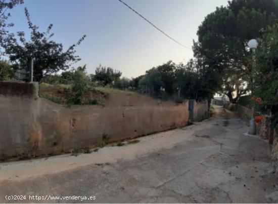 Terreno Urbano en Grimaldo de 880 metros ( cañaveral ) - CACERES