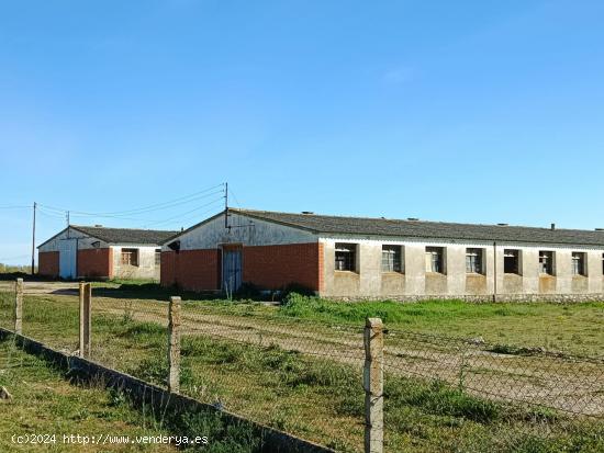 Naves en venta en Viloria del Henar (Valladolid). Ref.1942 - VALLADOLID