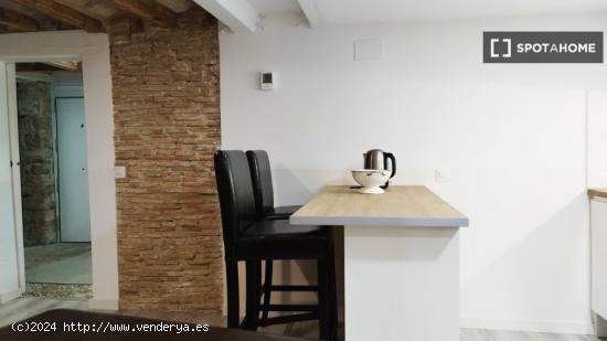 Apartamento de 1 dormitorio en alquiler en Sant Pere - Santa Caterina - BARCELONA