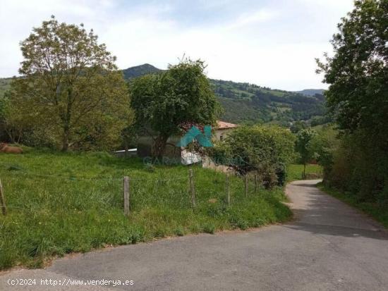 Se vende terreno - CANTABRIA