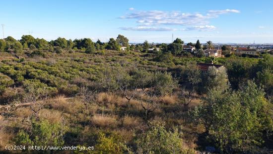 PARCELA URBANA PARA EDIFICAR EN URBANIZACIÓN LA FLORIDA DE NAQUERA - VALENCIA