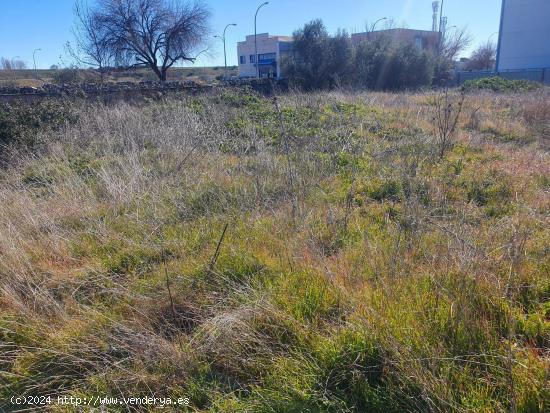 Se alquila  tres parcelas en zona del Poligono Industrial - Talamanca de Jarama. - MADRID