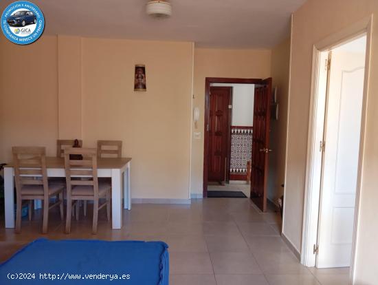 PISO DE 4 HABITACIONES JUNTO A LA CALZADA DE LA INFANTA - CADIZ