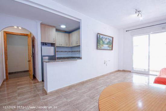 APARTAMENTO DE 2 DORMITORIOS 1 BAÑO EN TORREVIEJA (PLAYA DE LOS LOCOS ) - ALICANTE