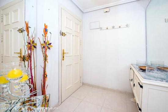 APARTAMENTO DE 2 DORMITORIOS 1 BAÑO, GARAJE, EN TORREVIEJA (ALICANTE) - ALICANTE