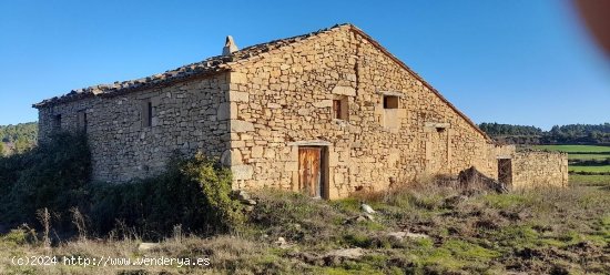 Suelo rústico en venta  en Torre del Compte - Teruel