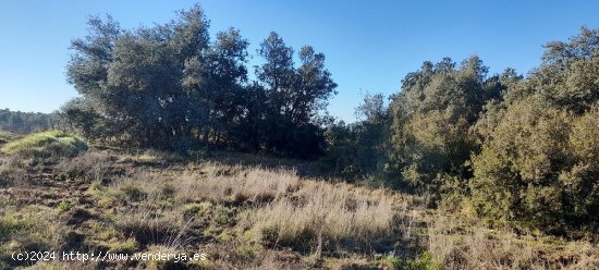 Suelo rústico en venta  en Torre del Compte - Teruel