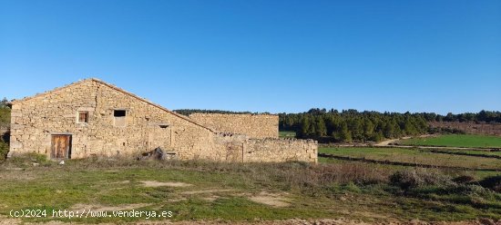 Suelo rústico en venta  en Torre del Compte - Teruel