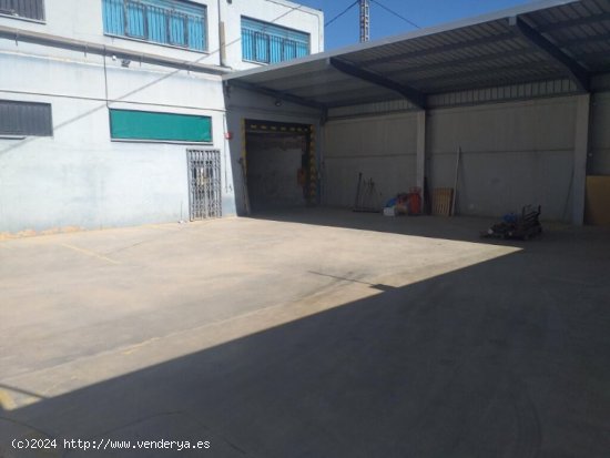  NAVE COMERCIAL-INDUSTRIAL LINEA CARRETERA EN YECLA 