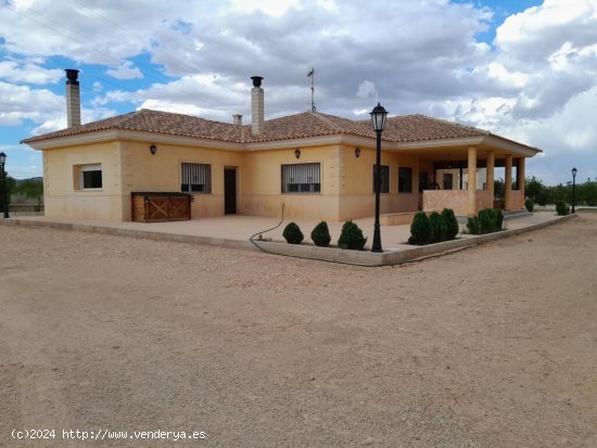 MARAVILLOSO CHALET A 2 KM  CON PISCINA EN YECLA