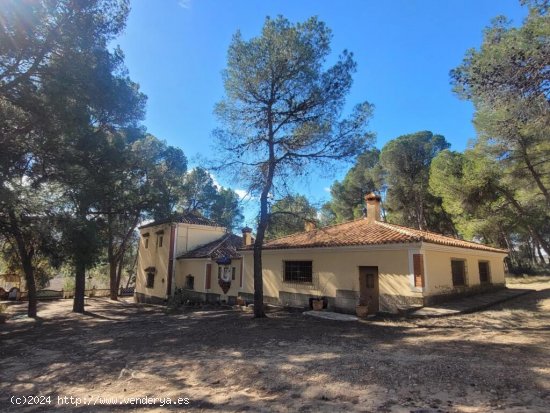 EXCELENTE OPORTUNIDAD!. FINCA AGRICOLA EN ONTINYENT CON GRAN VIVIENDA RENOVADA