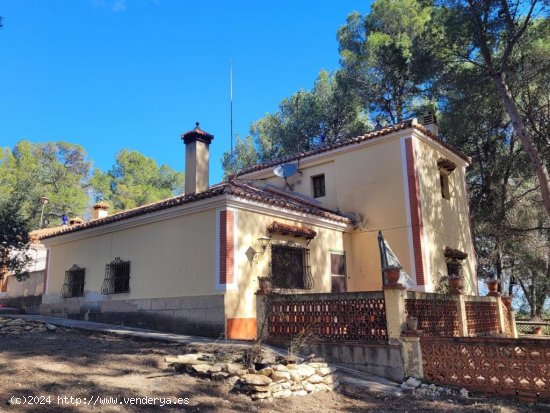 EXCELENTE OPORTUNIDAD!. FINCA AGRICOLA EN ONTINYENT CON GRAN VIVIENDA RENOVADA