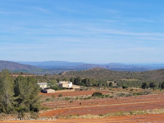 FANTASTICOS TERRENOS DE REGADIO EN MONTESA