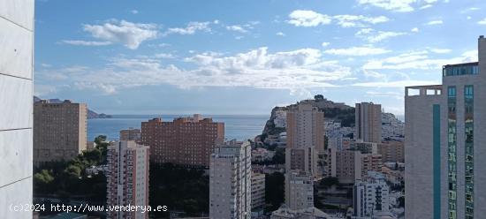  ATRIUM DE 2 HAB Y 2 BAÑOS CON PARKING. ALQUILER ANUAL. MILPISOS.ES - ALICANTE 