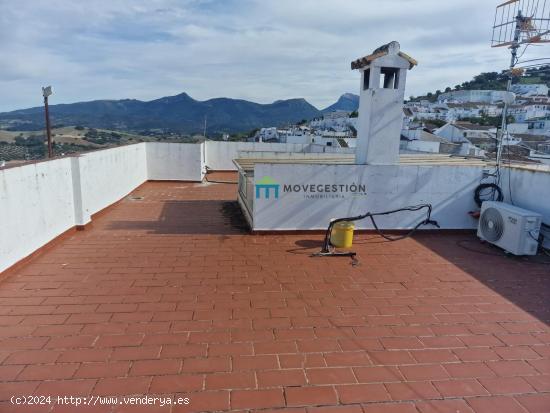  PISO EN PLANTA BAJA EN PRADO DEL REY (CÁDIZ) - ZONA CENTRO - CADIZ 