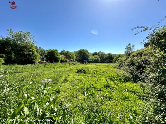  Parcela rústica de 2.408m2 en la calle Molino de la Cruz frente a la urbanización Los Almendros -  