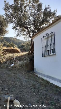 OPORTUNIDAD. VENTA EN SIERRRO DE CASA DE CAMPO CON TERRENO. - ALMERIA