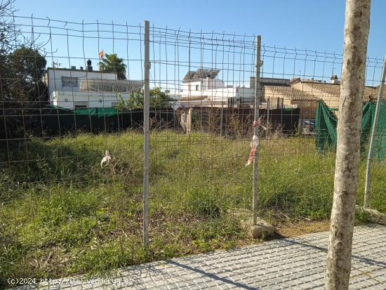  ESTUPENDA PARCELA URBANIZABLE EN PASEO DE LAS DELICIAS - CADIZ 