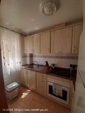 Apartamento vacacional con piscina- Playa de La Mata - ALICANTE