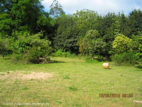 Se Vende en Alfoz de Lloredo - CANTABRIA