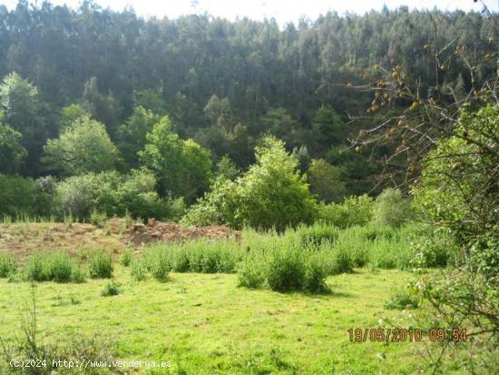 Se Vende en Alfoz de Lloredo - CANTABRIA