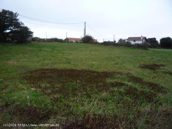 Se Vende en Santa Cruz de Bezana - CANTABRIA