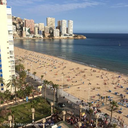 Se Vende en Benidorm - ALICANTE