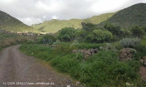 Terreno Rústico de protección paisajística en el municipio de San Cristóbal de La Laguna - SANTA