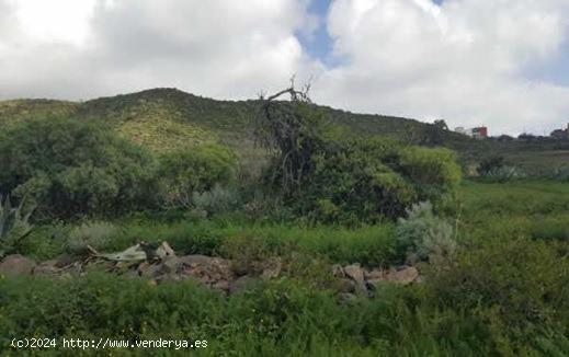 Terreno Rústico de protección paisajística en el municipio de San Cristóbal de La Laguna - SANTA