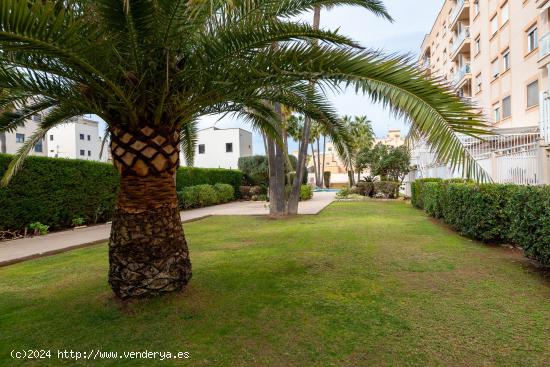 Todo lo que necesitas y más en el Rafal Vell - BALEARES