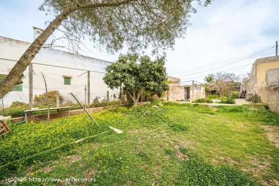 MOLINO EN CENTRO DE FELANITX - BALEARES