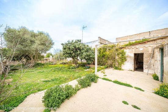 MOLINO EN CENTRO DE FELANITX - BALEARES