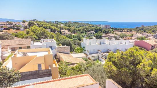 ¡Descubre tu nuevo hogar en el encantador barrio de Genova en Palma de Mallorca! - BALEARES