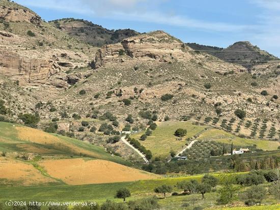 se vende parcela rustica en Pizarra en los Lagares - MALAGA