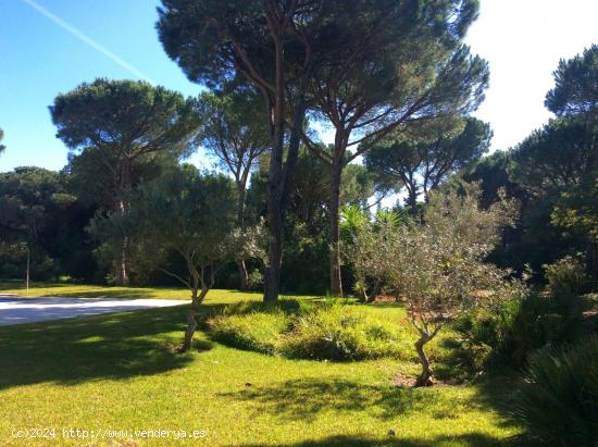 Se Vende en Conil de la Frontera - CADIZ