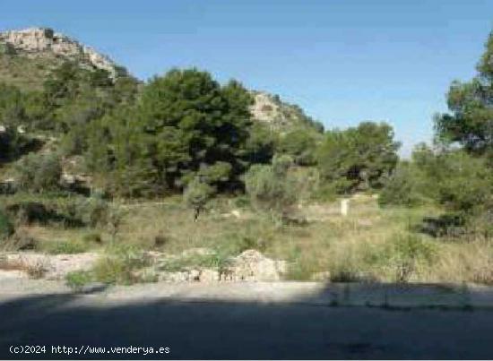 TERRENO URBANO EN PETRER - ALICANTE