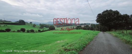  AMPLIO TERRENO URBANIZABLE EN CUBAS. RIBAMONTAN AL MONTE. - CANTABRIA 