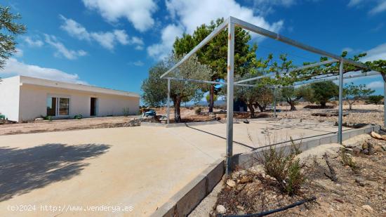 Espectacular finca con mas de 21.000 m2 llenos de naturaleza y unas vistas únicas en Corvera - MURC