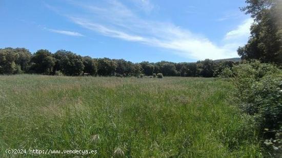 Terreno en venta en Iguzquiza (Navarra) - NAVARRA