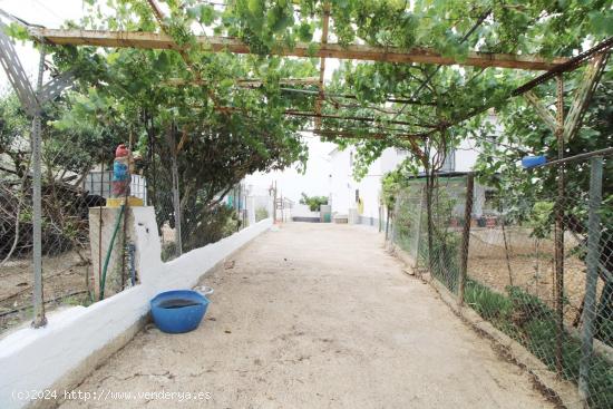 Casa en el Priorat de la Bisbal - TARRAGONA