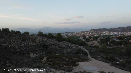 PARCELA COMPLETAMENTE LLANA Y CON VISTAS INMEJORABLES EN ZONA EXCLUSIVA DE LA ALCAYNA - MURCIA